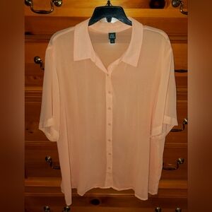 Wild Fable Light Peach Sheer Blouse